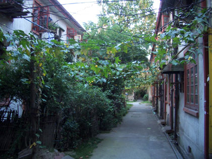 Seitenstraßen in der French Concession