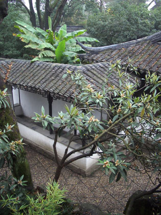 Garten des bescheidenen Politikers