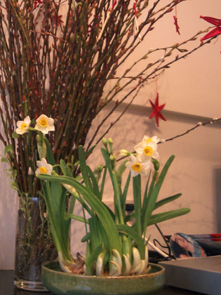 W�hrend es drau�en schneit, wird es drinnen schon Fr�hling.