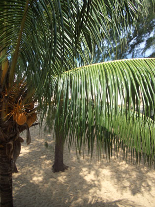 Ausblick aus dem Zimmerfenster