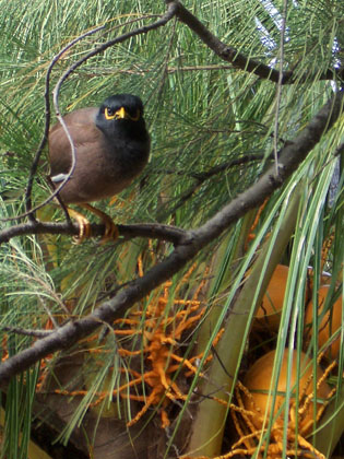 ... und noch mehr neue Freunde