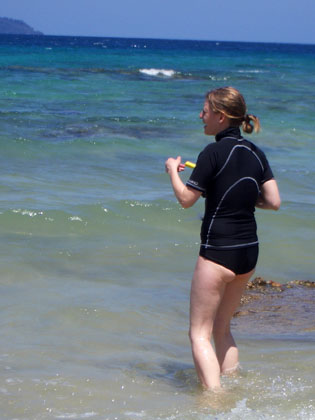 auf zu den Korallen und bunten Fischen