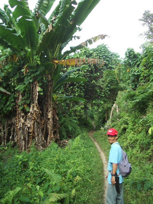 Auf geht's in den Urwald, mit dem Onkel von Amir, der der Bruder Atans ist ...