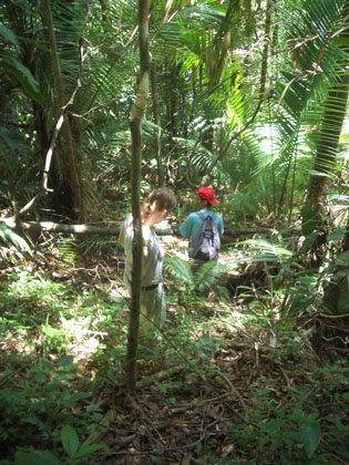 ... den ganzen Berg wieder runter.