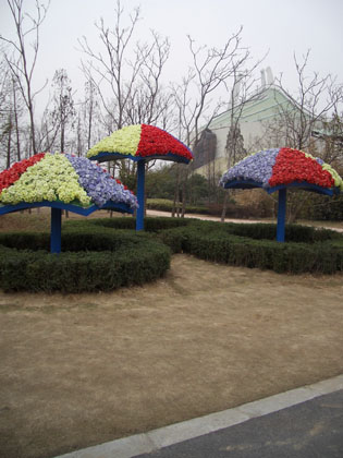 sozialistisches Immergr�n