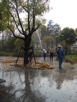 Im Park werden die letzten braunen Blätter mittels Feuerwehrschlauch von den Bäumen gespült.