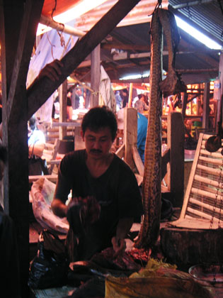 ... und frisches Riesenpythonfleisch