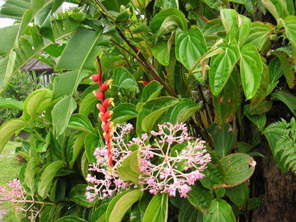 Gaerten im Gardenia Resort