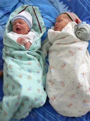 Mia, vier Wochen, Maya,3 Tage