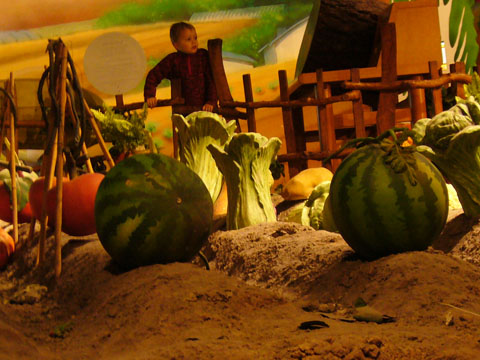 Science and Technology Museum