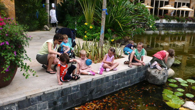 ...Goldfische-Füttern am Frühstücksteich,...