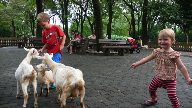 Ziegen fuettern, Shanghai Zoo