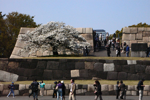 Ostgarten des Kaiserpalastes