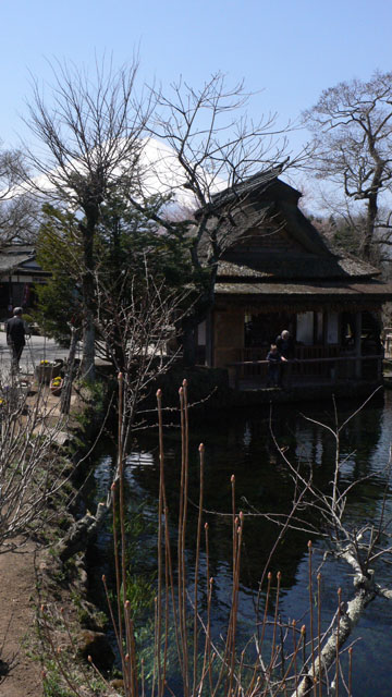 Moritz, Opa und der grosse Berg