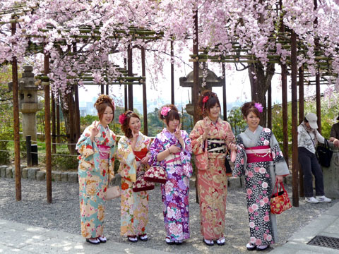 Kimono Verkleidung