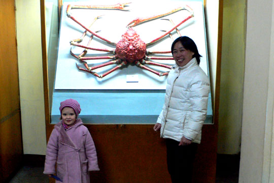 Mein Freund die Krabbe