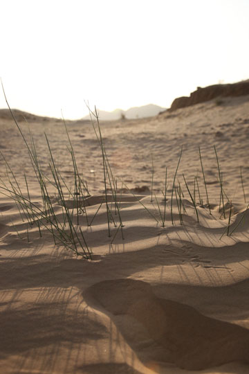 Zum ersten Mal Wuestensand