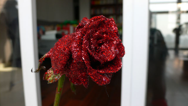 Mias Wahl auf dem Blumenmarkt: die Glitzerrose