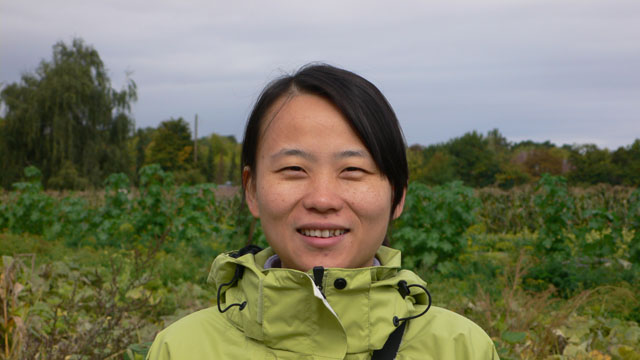 Studying organic cultivation