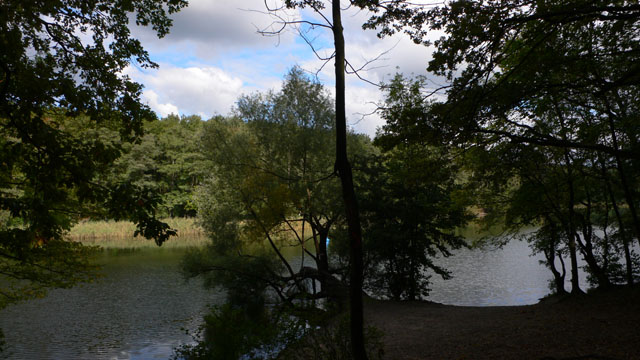 Krumme Lanke in autumn