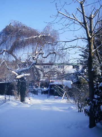 Our garden, covered in snow