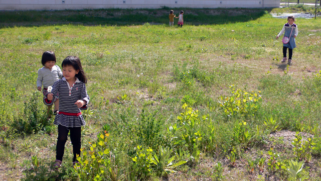 Open House at the Berlin Chinese Cultural Centre