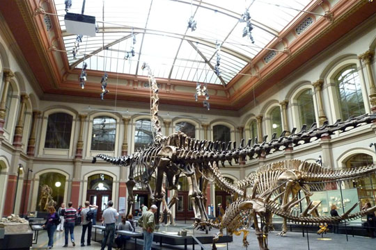 Museum of natural history