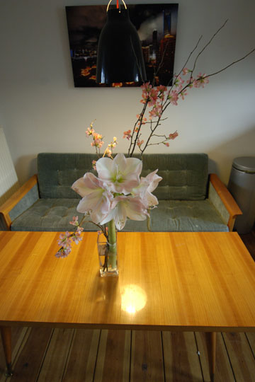 Before the party began