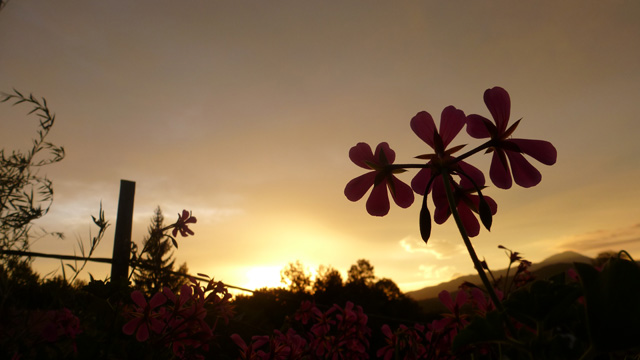 Early morning, again